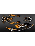 Kit décoration 100% Perso pour Seadoo GTI 