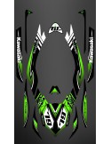 Kit decoration 100% Custom Monster LTD Full for Kawasaki Ultra 250/260/300/310R