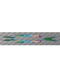 Kit deco Rainbow Edition Light - Specialized Turbo Levo