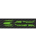 Kit deco Factory Edition Light (NEON Green)- Specialized Turbo Levo