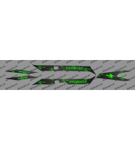 Kit deco CARBONI Edició Llum de Neó Verd)- Especialitzada Turbo Levo -idgrafix