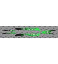 Kit deco LEVO Edition Light (Green) - Specialized Turbo Levo