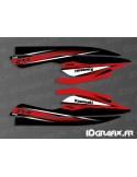 Kit decoration Replica 2010 (red) for Kawasaki SXR 800