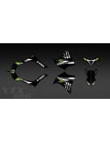 Kit deco 100% Custom Monster (green) for Yamaha 660 XT (2000-2007)