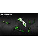 Kit decoration Splash series - Kawasaki Z800 (2012-2016)