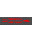 Kit deco Factory Edition Light (Red)- Specialized Turbo Levo