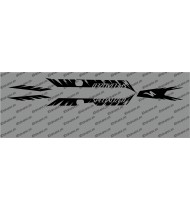 Kit déco Factory Edition Light (Noir)- Specialized Turbo Levo