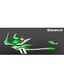 Kit decoration Race Green (Light) - for Seadoo GTI