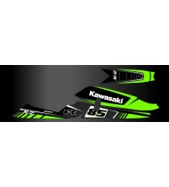 Kit dekor Factory für Kawasaki X2