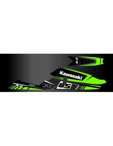 Kit décoration Factory pour Kawasaki X2