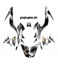 Kit de decoració Liner color Gris - IDgrafix - Am RS Spyder