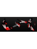 Kit decoration Race Series Full (Red) - IDgrafix - Can Am Renegade