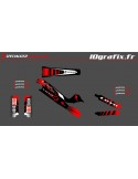 Kit deco 100% Personalizzato Full - Specialized Turbo Levo - Girones