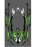Kit de decoració 100% Personalitzat Monstre LTD Complet per a Kawasaki Ultra 300/310R
