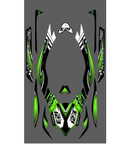 Kit decoration 100% Custom Monster LTD Full for Kawasaki Ultra 300/310R