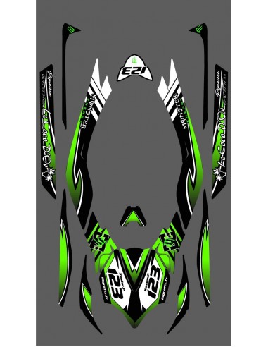 Kit de decoración 100% Personalizado Monstruo LTD Completo para Kawasaki Ultra 300/310R