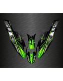 Kit decoration 100% Custom DC (Green) for Kawasaki SXR 1500