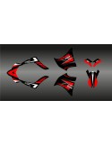 Kit deco 100% Custom Akrapovic (Red) for Yamaha 660 XT (2000-2007)