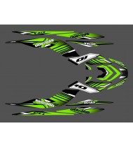 Kit decoration Factory Green for Seadoo GTR-X 230