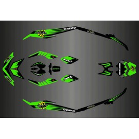 Kit deko-Light Spark Rosa für Seadoo Spark
