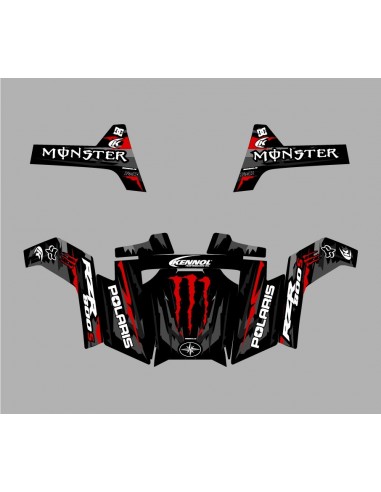 Kit decoration 100% Custom - RZR 1000 XP - M. Charpentier