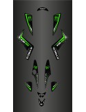 Kit-Deco-Custom Monster (Grün) - Kymco Maxxer 250