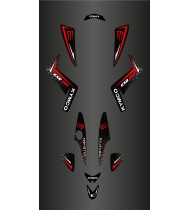 Kit-Deco-Benutzerdefiniert - Kymco 250 Maxxer - Julien