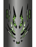 Kit decoration Rockstar Green for Seadoo RXT 215-255