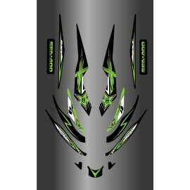 Kit decoration Rockstar Green for Seadoo RXT 215-255 - IDgrafix