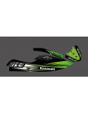 Kit de decoració personalitzada Monstre Edició (verd) per a Kawasaki SXR 800