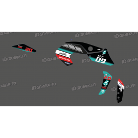 Kit decoration Pétronas GP Edition - IDgrafix - Yamaha MT-09 (after 2017) - IDgrafix