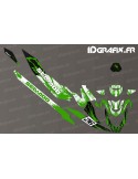 Kit decoration Splash Race Edition (Green) - Seadoo RXT-X 300- RXT X 325