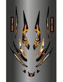 Kit decoration Rockstar Orange for Seadoo RXT 215-255