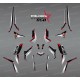 Kit décoration SpiderStar Noir/Gris (Light) - IDgrafix - Polaris 850 Scrambler-idgrafix