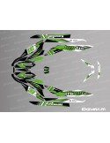 Kit decoration Factory Edition (Green) for Kawasaki STX 160