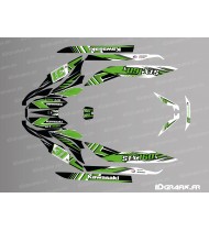 Kit de decoració de fàbrica (verd) per a Kawasaki STX 160 -idgrafix