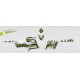 Kit decoració D (Verd) - IDgrafix - Polaris 550 XPS -idgrafix