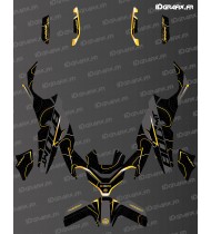 Kit deco Topo Edition (Gold) - CF MOTO MT 800 -idgrafix