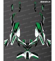 Kit deco Sharp Edition (Green) - CF MOTO MT 800