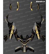 Kit déco Topo Edition (Or/Gris) - CF MOTO MT 800