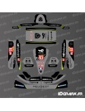 Peugeot 9x8 Le Mans Edition Grafikkit für Karting Tony Kart M4