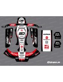 Kit gràfic Hass de la sèrie F1 per CRG Rotax 125 Karting