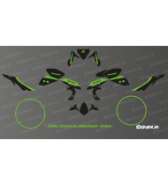 Kit de decoració de la sèrie Monster (verd) - Kawasaki Z...