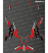 Kit gráfico Race Edition (Rojo) - CF MOTO MT 800