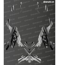 Race Edition graphic kit (Grey) - CF MOTO MT 800