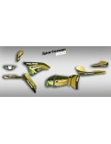 Kit de decoració CAMO Sèrie Limitada - IDgrafix - Polaris 500 Bosc