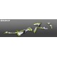 Kit dekor Green Limited Light - IDgrafix - Polaris 570 Sportsman -idgrafix