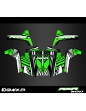 Kit decoration Line Edition (Green) - IDgrafix - Polaris RZR 800