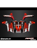 Kit decoration Line Edition (Red) - IDgrafix - Polaris RZR 800
