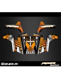 Kit decoration Line Edition (Orange) - IDgrafix - Polaris RZR 800